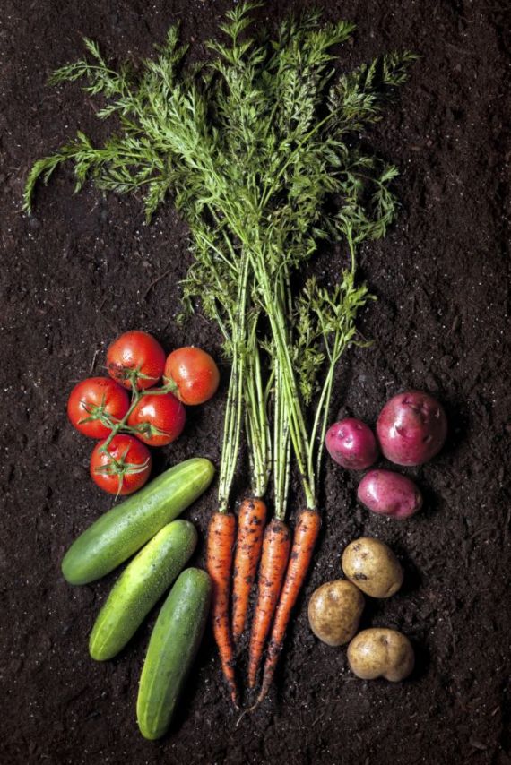 Arrangement of Vegetables