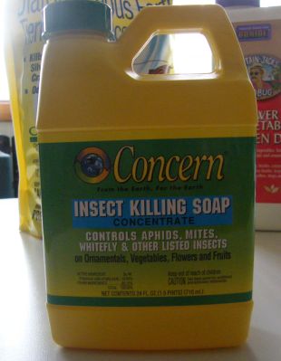 InsecticidalSoap